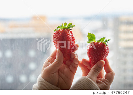 Japan strawberry in hand 47766247