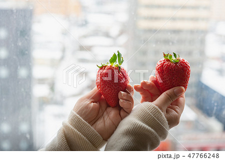 Japan strawberry in hand 47766248