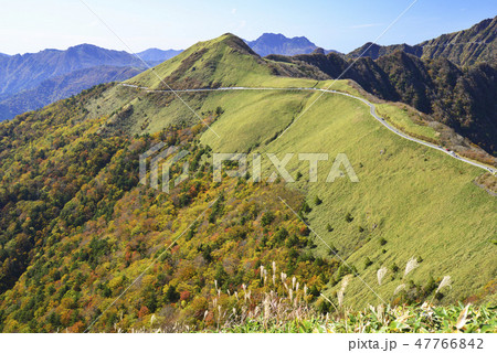 紅葉のUFOラインと石鎚山遠望 47766842