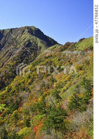 瓶ヶ森と錦のUFOライン 瓶ヶ森と錦のUFOライン 47766852