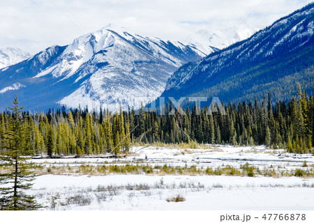 冬のカナディアン・ロッキー　クートニー国立公園の川と山並み 47766878