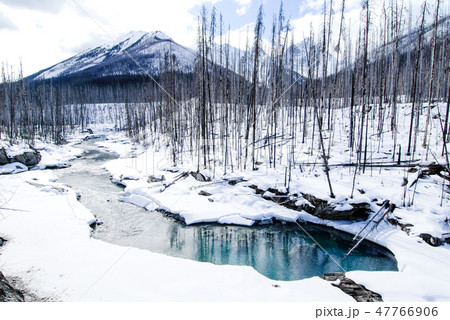 冬のカナディアン・ロッキー　クートニー国立公園の川と山並み 47766906