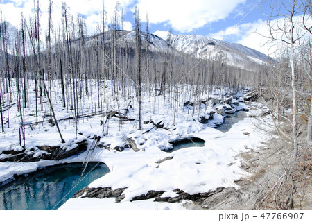 冬のカナディアン・ロッキー　クートニー国立公園の川と山並み 47766907