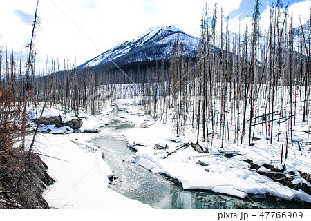 冬のカナディアン・ロッキー　クートニー国立公園の川と山並み 47766909