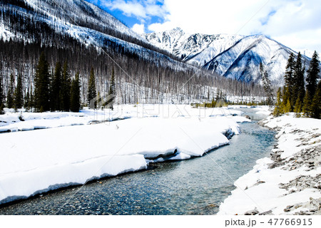 冬のカナディアン・ロッキー　クートニー国立公園の川と山並み 47766915