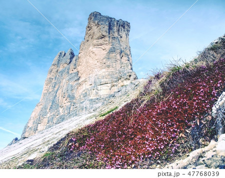 Spring tour in famous Alps range. 47768039