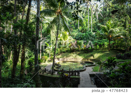 Goa Gajah elephant cave, Ubud, Bali, Indonesia 47768423