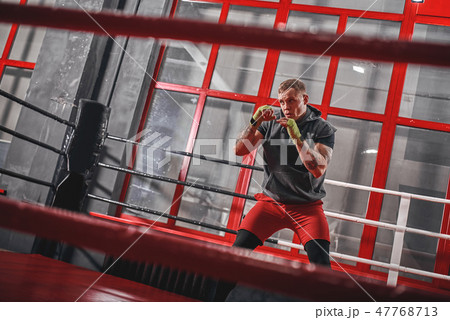 Training to be the best. Muscular tattooed boxer in sports clothing punching on red boxing ring Training to be the best. Muscular tattooed boxer in sports clothing punching on red boxing ring 47768713