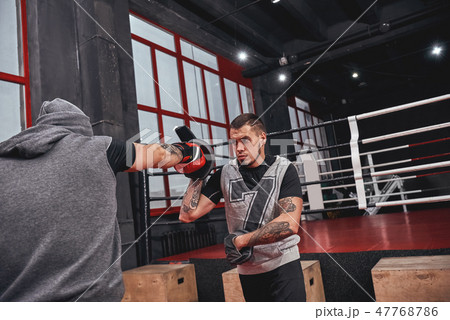 Training his boxing skills. Muscular athlete in red gloves training on boxing paws with partner in 47768786