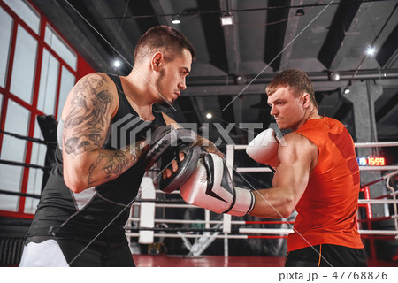 Heavy hook to the body. Handsome sportsman in sports clothing training on boxing paws with partner 47768826