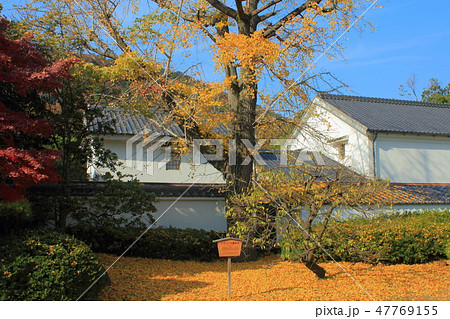 香川県 特別名勝 栗林公園「紅葉」 香川県 特別名勝 栗林公園「紅葉」 47769155