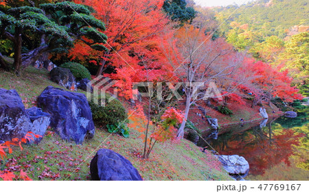 香川県 特別名勝 栗林公園「紅葉」 香川県 特別名勝 栗林公園「紅葉」 47769167