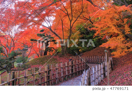 香川県 特別名勝 栗林公園「紅葉」 香川県 特別名勝 栗林公園「紅葉」 47769171