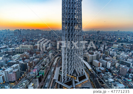 スカイツリーの根本　夜景　スカイツリーイーストタワーより　【東京都】 47771235
