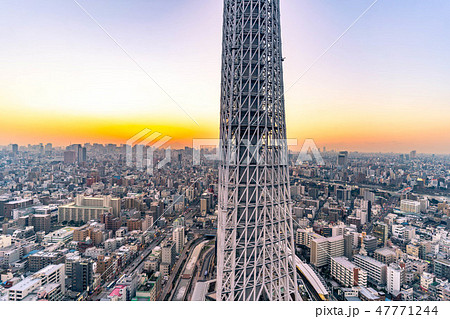 スカイツリーの根本　夜景　スカイツリーイーストタワーより　【東京都】 47771244
