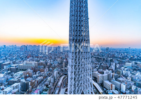 スカイツリーの根本　夜景　スカイツリーイーストタワーより　【東京都】 47771245
