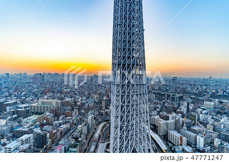 スカイツリーの根本　夜景　スカイツリーイーストタワーより　【東京都】 47771247