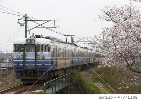 終焉近い越後線115系（三次新潟色） 47771388