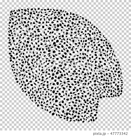 さくら 47773342