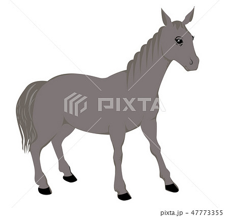 horse animal simply 47773355