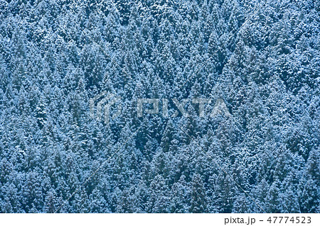 雪化粧の山 47774523