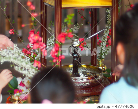 花まつり　釈迦の誕生を祝う 47774606