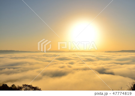 大撫山 大撫山 47774819