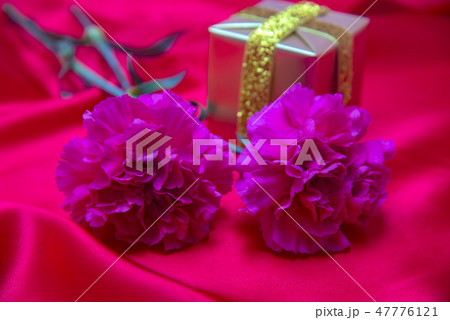 母の日　カーネーションとギフトボックス 47776121