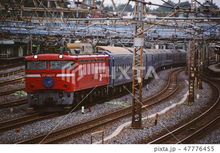 EF81137　はくつる 47776455