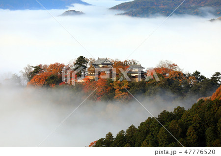 天空の城2749 47776520