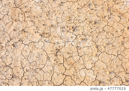 Brown dry soil or cracked ground texture 47777028