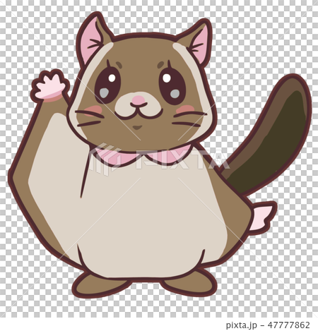 かわいいムササビ1 Cute Flying Squirrel1のイラスト素材 47777862 Pixta