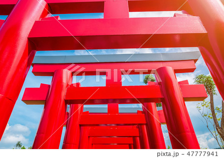 Close-up of Red Torii gates Close-up of Red Torii gates 47777941