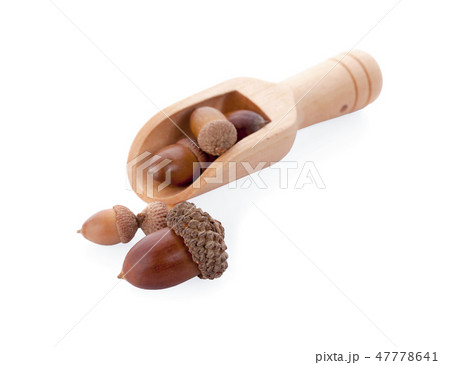 acorns on a white background ,close up 47778641