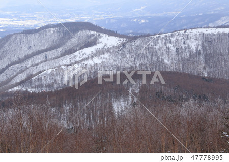 長野県蓼科山の2100m付近から見た南西側のスズラン峠、八子ヶ峰ヒュッテ方面 47778995