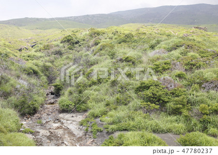 阿蘇山　南阿蘇村　九州 47780237