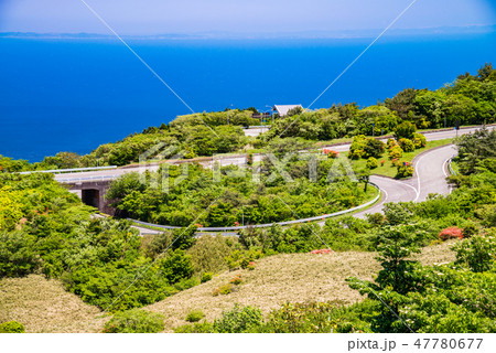 （静岡県）初夏の伊豆スカイラインから望む熱海方面 47780677