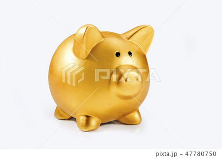 Chinese New Year. Year of the earth pig Chinese New Year. Year of the earth pig 47780750