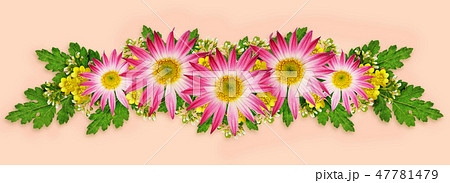 Flowers arrangement 47781479