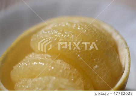 瑞々しい文旦 47782025