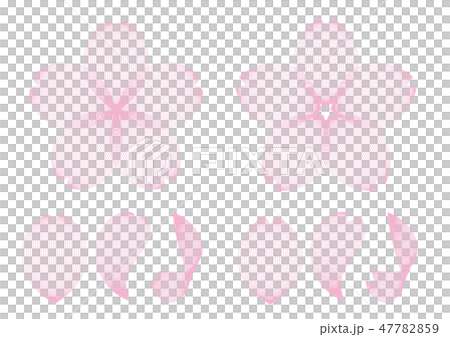 桜 花 ワイヤー 桜 花 ワイヤー 47782859