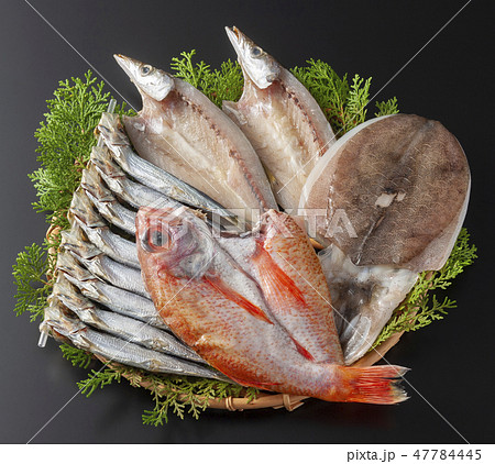 干物　いろいろ 47784445