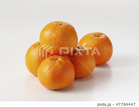 伊予柑 伊予柑 47784447