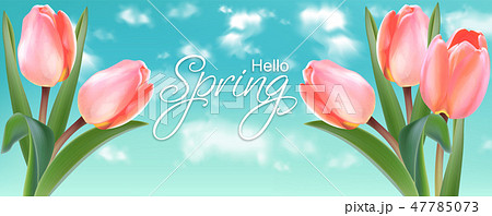 Spring tulip flowers on sky background Vector Spring tulip flowers on sky background Vector 47785073