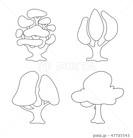 Vector illustration of tree and nature icon. Set of tree and crown vector icon for stock. Vector illustration of tree and nature icon. Set of tree and crown vector icon for stock. 47785543