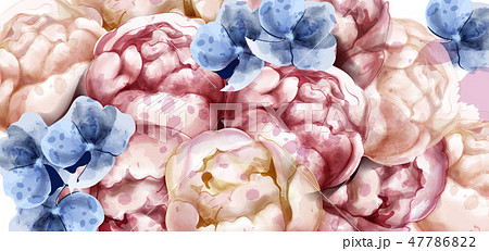 Colorful peony flowers watercolor banner Vector 47786822