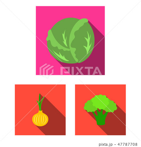 Different kinds of vegetables flat icons in set collection for design. Vegetables and vitamins 47787708