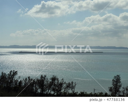 海 47788136