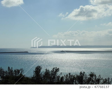 海 海 47788137
