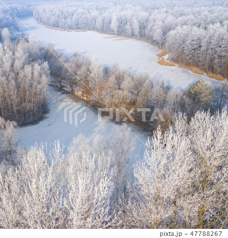 Rime and hoarfrost covering trees. 47788267